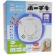 Hochiki Standalone Smoke Detector